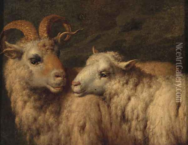 A Ram and a Ewe Oil Painting - Adriaen Van De Velde
