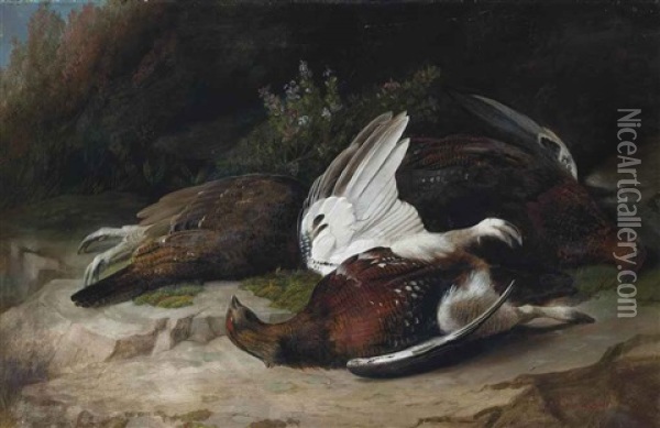 Grouse Oil Painting - John Bucknell Russell