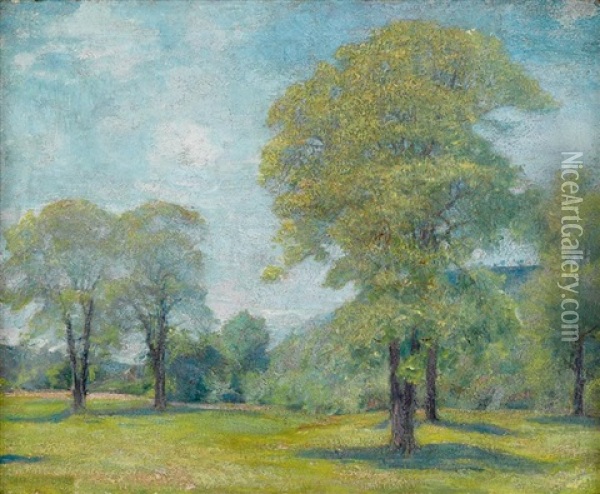 Spring Landscape Oil Painting - Charles Harold Davis