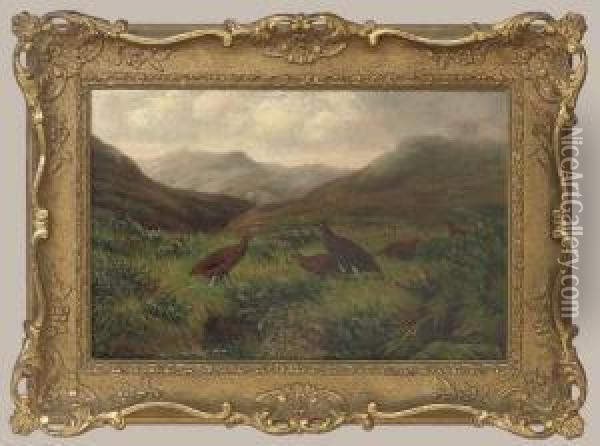 Grouse In A Misty Highland Landscape Oil Painting - Benjamin, Ben Hold