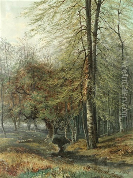 A Woodland Cottage And A Woodland Stream Oil Painting - Octavius Thomas Clark