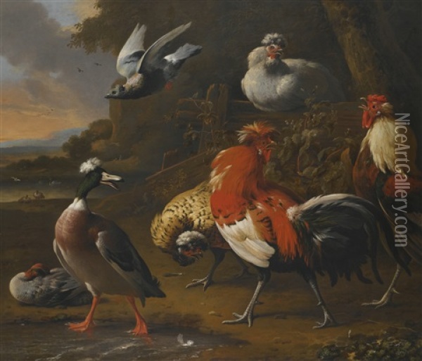 Cockerels, Duck, Chickens And A Flying Pigeon In A Landscape, A Lake Beyond Oil Painting - Melchior de Hondecoeter