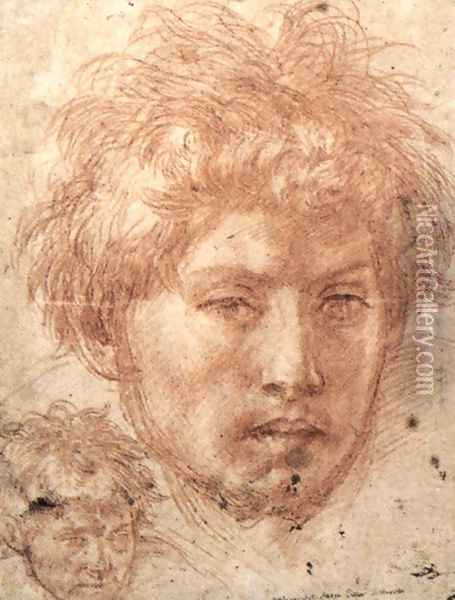 Head Of A Young Man Oil Painting - Andrea Del Sarto