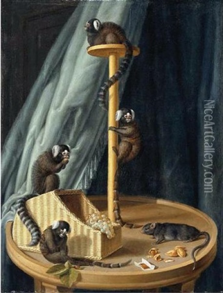 Exotic Species Of Monkeys From The Private Zoo Of The Herzog Christian Ludwig Von Mecklenburg-schwerin Oil Painting - Dietrich Findorff