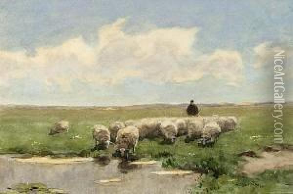 Shepherd And His Flock By A Fen Oil Painting - Willem II Steelink