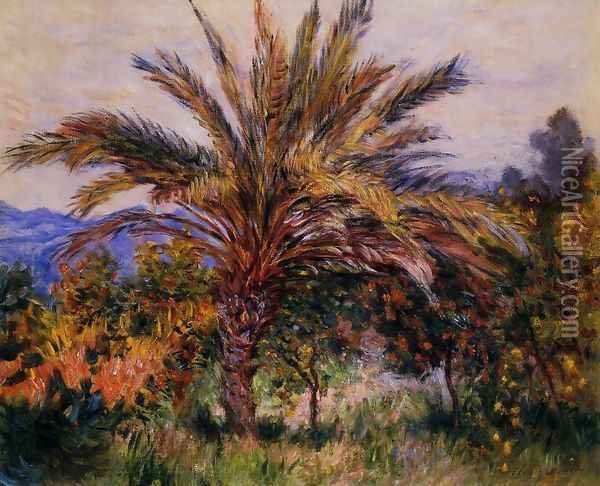 A Palm Tree At Bordighera Oil Painting - Claude Oscar Monet