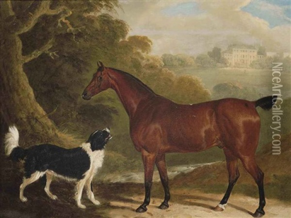 A Chestnut Hunter And Newfoundland Dog In An Extensive Landscape, A Country House Beyond Oil Painting - David (of York) Dalby