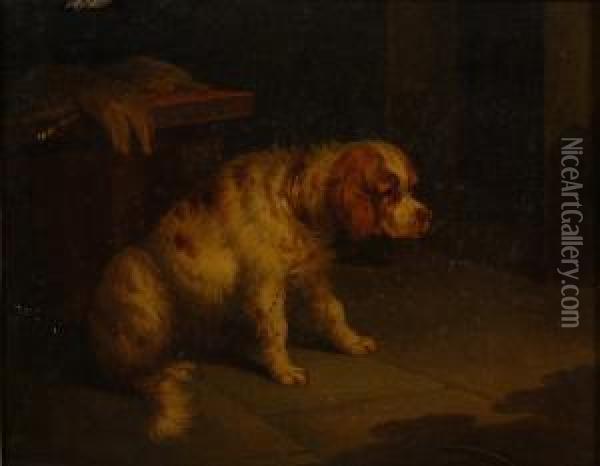 'a Spaniel In An Interior' And 'a Pointer With A Grouse' Oil Painting - Paul Jones