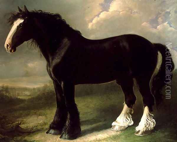 Old English Black Horse Oil Painting - William Shiels