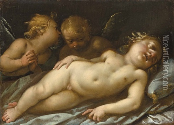 The Christ Child Sleeping Oil Painting - Giovanni Stefano Danedi