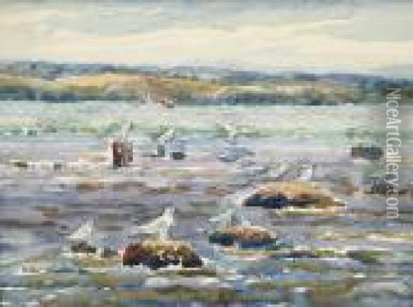 A View Of Seagulls From The Shoreline Oil Painting - Owen B. Staples