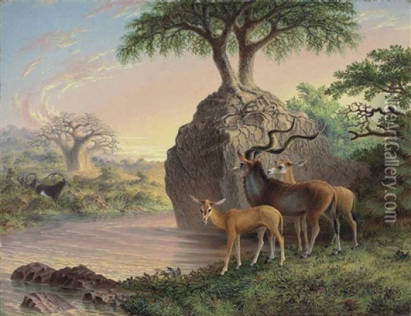 Koodoos, Luisi River, Zambesi Valley Oil Painting - John Thomas Baines