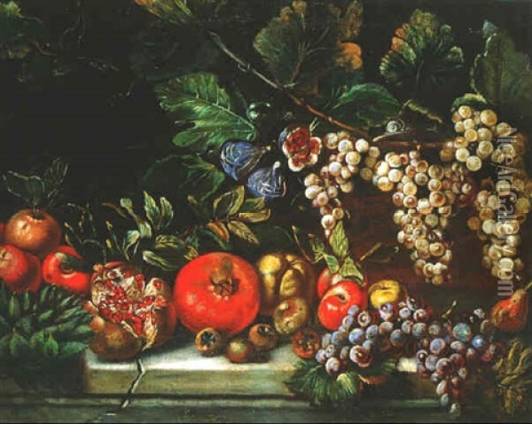 Nature Morte Aux Raisins, Grenades Et Figues Sur Un Entablement Oil Painting - Michelangelo di Campidoglio