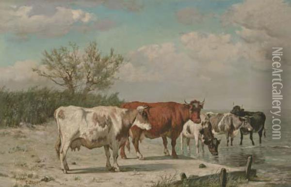 Vaches S'abrevant Oil Painting - Constant Troyon