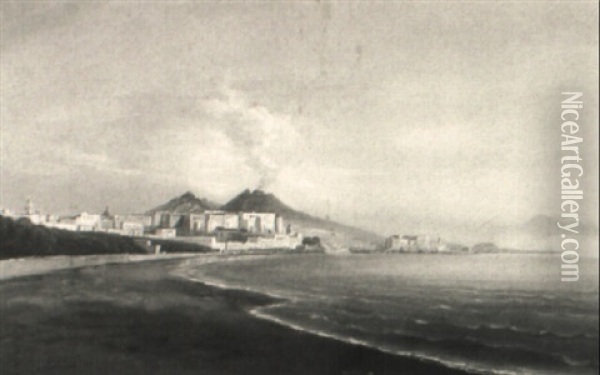 Blick Auf Den Vesuv Und Die Bucht Von Neapel Oil Painting - Gustav Von Haugk