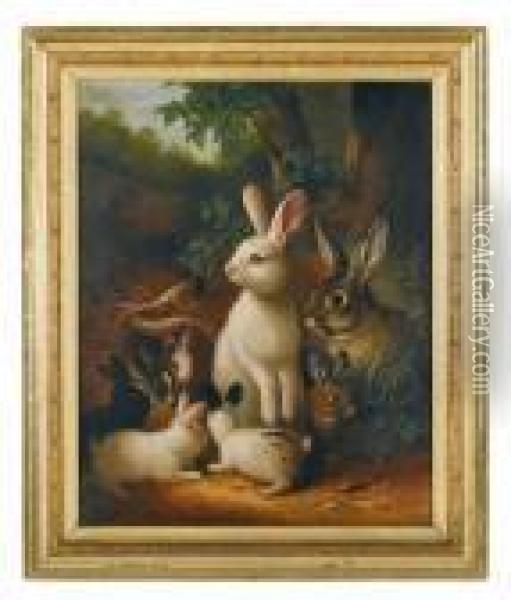 Group Of Rabbits Oil Painting - Susan C. Waters