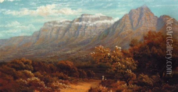 Table Mountain, Near Kirstenbosch, Newlands Oil Painting - Charles Rolando