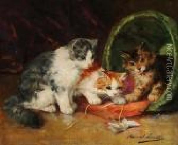 Kittens At Play Oil Painting - Alphonse de Neuville