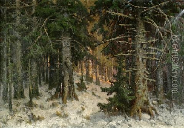 A Pine Forest In Winter Oil Painting - Nikolai Obolensky