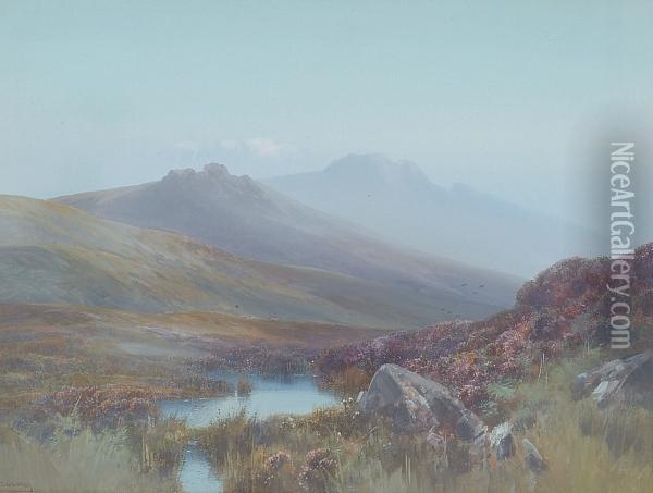 A Pond Beneath Dartmoor Tors Oil Painting - Frederick John Widgery