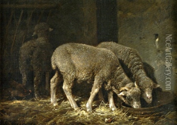 La Rentree Des Moutons Oil Painting - Charles Emile Jacque