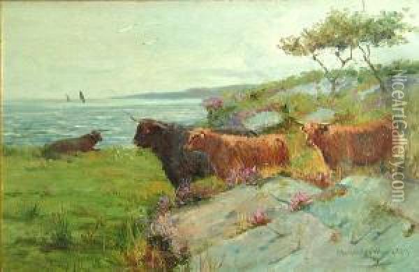 Highland Cattle Oil Painting - Peter MacGregor Wilson