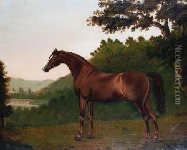 Portrait Of A Chestnut Hunter Oil Painting - John Boultbee