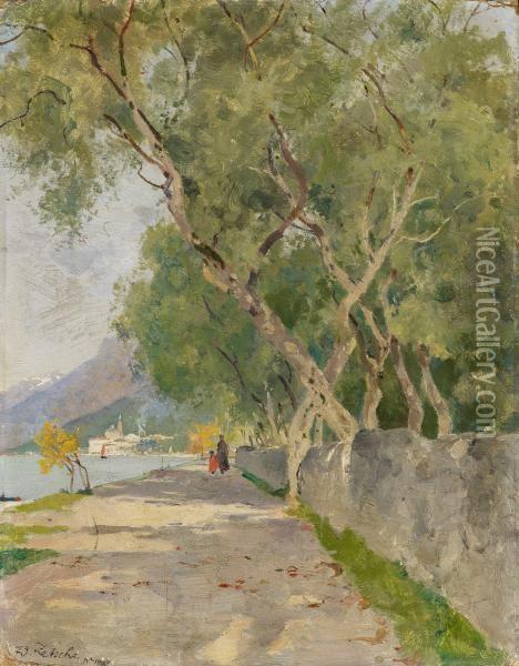 Motif Near Castello On Lake Garda Oil Painting - Eduard Zetsche
