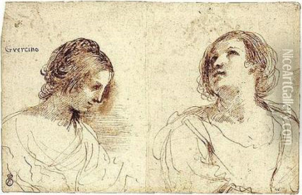 Two Female Head Studies Oil Painting - Guercino