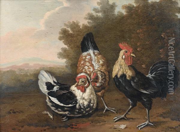 Ornamental Fowl In A Wooded Landscape Oil Painting - Pieter III Casteels