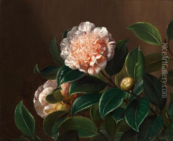 Camellia Oil Painting - Johan Laurentz Jensen
