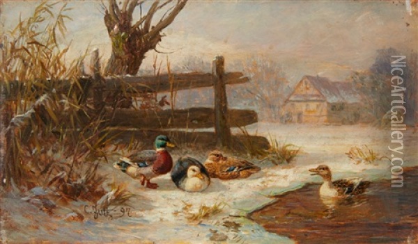 Ducks By A Pond Oil Painting - Carl Jutz the Elder