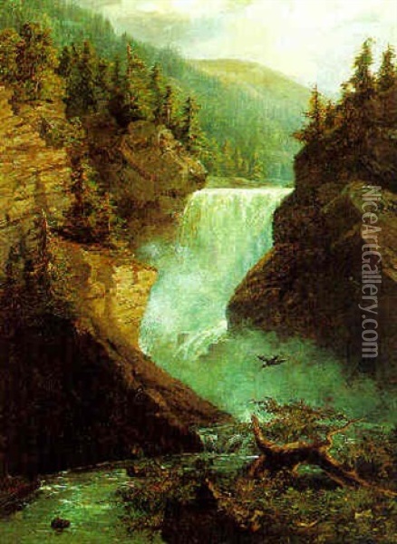 Wasserfall Im Gebirgstal Oil Painting - Heinrich Hiller