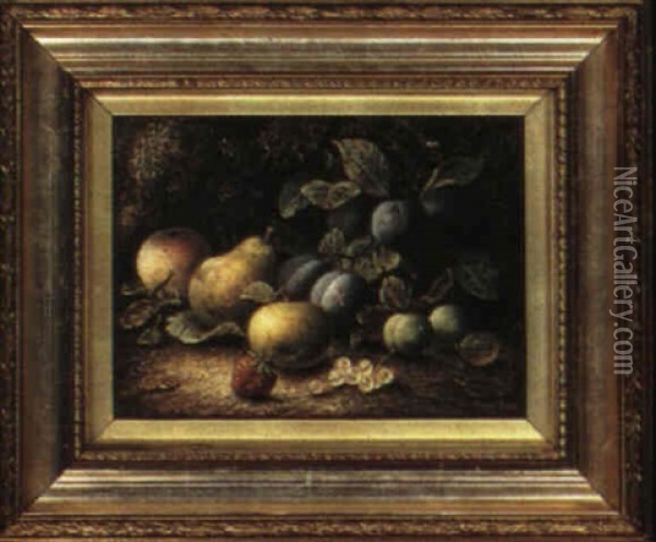 Still Life With Apples, Plums, And Other Fruit Oil Painting - Oliver Clare