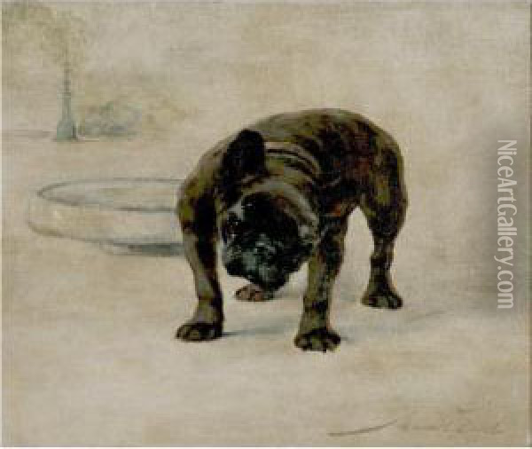 Champion Dinette, A French Bull Dog Oil Painting - Maud Earl