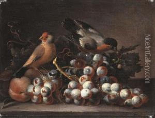 Grapes On The Vine And Peaches With Two Finches On A Ledge Oil Painting - Jakob Bogdani Eperjes C