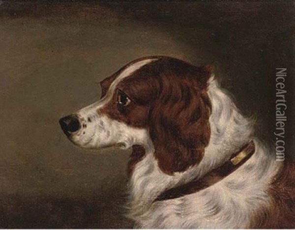 The Head Of A Spaniel (+ The Head Of Gundog; Pair) Oil Painting - Edwin (of Bath) Loder