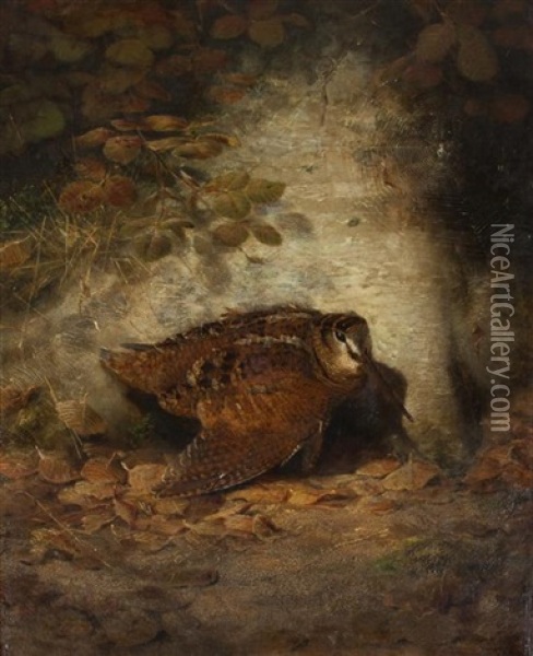 Autumn--wounded Woodcock, 1850 Oil Painting - Joseph Wolf