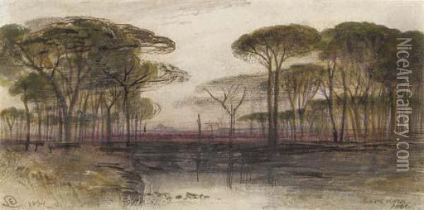 The Pinetum At Ravenna Oil Painting - Edward Lear