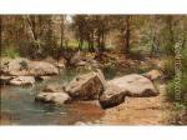 Le Ruisseau D'yzerona Lyon Oil Painting - Adolphe Appian