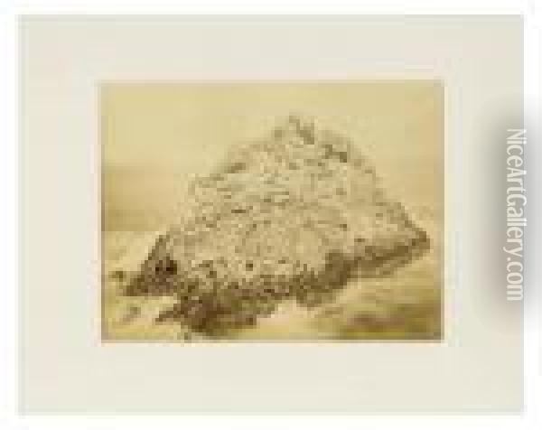 Seal Rock, Farallini Island, Pacific Ocean Oil Painting - Carleton E. Watkins