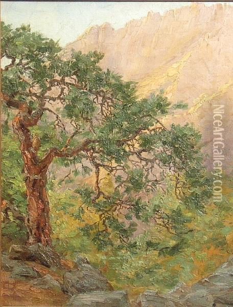 A Juniper In The Mountains Oil Painting - Lavina Baker Hill