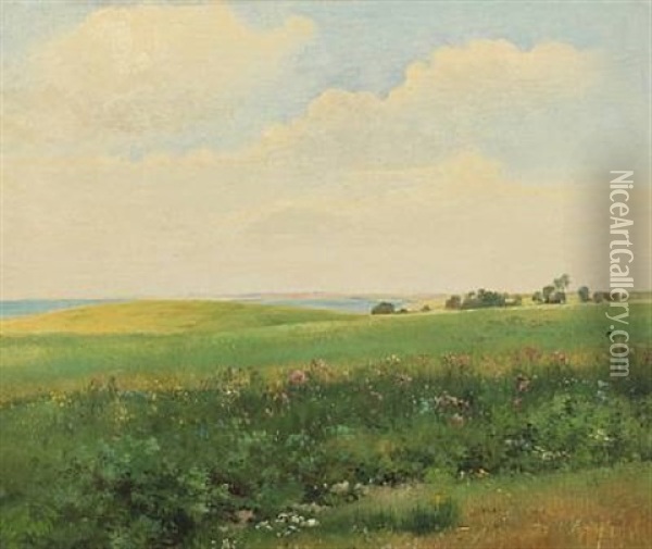 Summer Landscape With Rolling Fields Oil Painting - Carl Frederik Peder Aagaard
