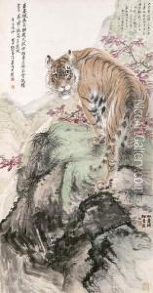 Tiger On The Rock Oil Painting - Zhang Shanzi