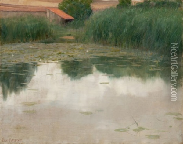 The Lily Pond Oil Painting - Alexander Harrison