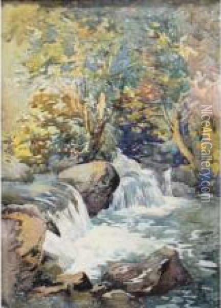 Cascade Dans Le Oued Oil Painting - Alphonse Rey