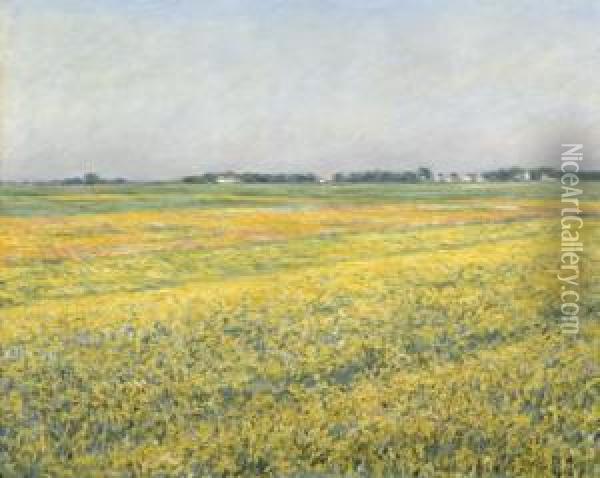 La Plaine De Gennevilliers, Champs Jaunes Oil Painting - Gustave Caillebotte