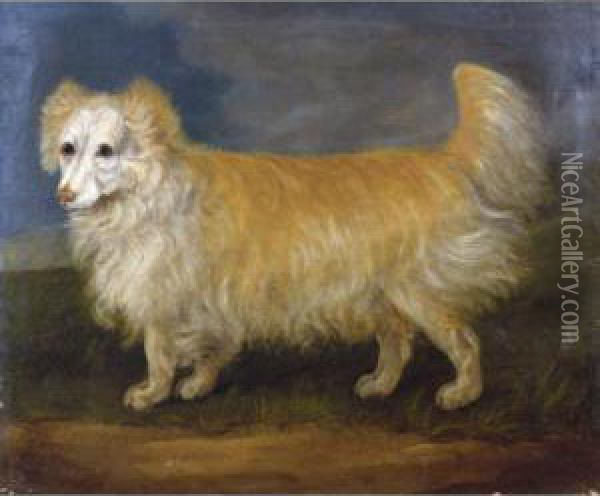 A Favourite Dog Oil Painting - J. Francis Sartorius