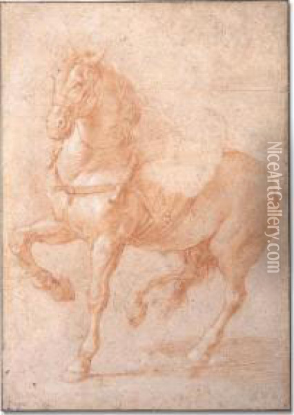 Study Of Bucephalus For The Relief Of Alexander And Diogenes Oil Painting - Pierre Puget