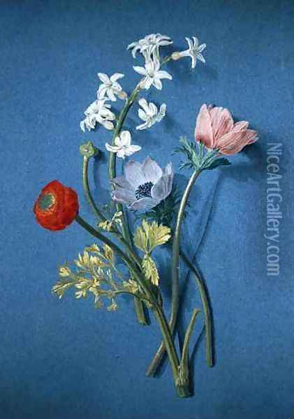 Ranunculus, anemones and jasmine Oil Painting - Alexis Nicolas Perignon